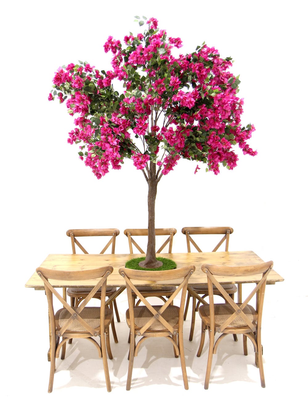 SN6059_Table Top Tree - Bougainvillea_ (2)