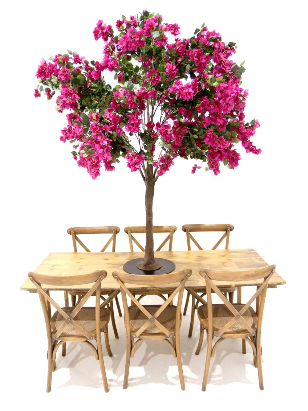 SN6059_Table Top Tree - Bougainvillea_ (4)