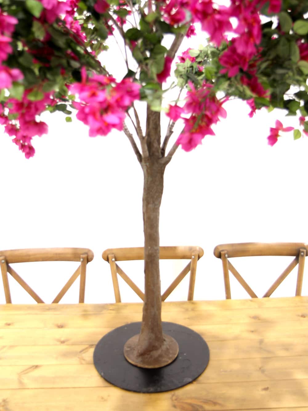 SN6059_Table Top Tree - Bougainvillea_ (5)