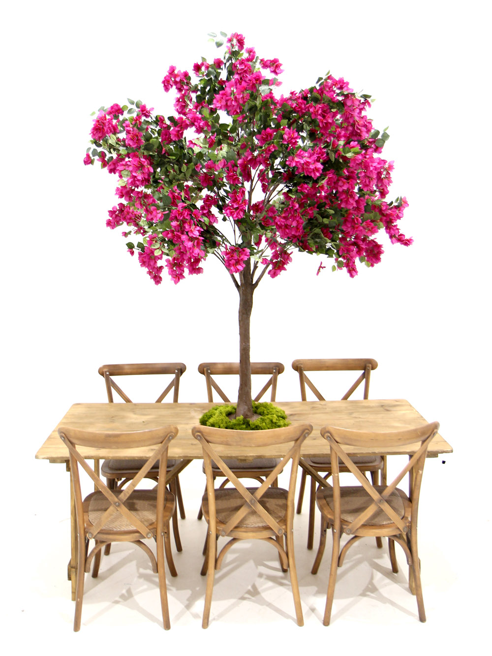 SN6059_Table Top Tree - Bougainvillea_