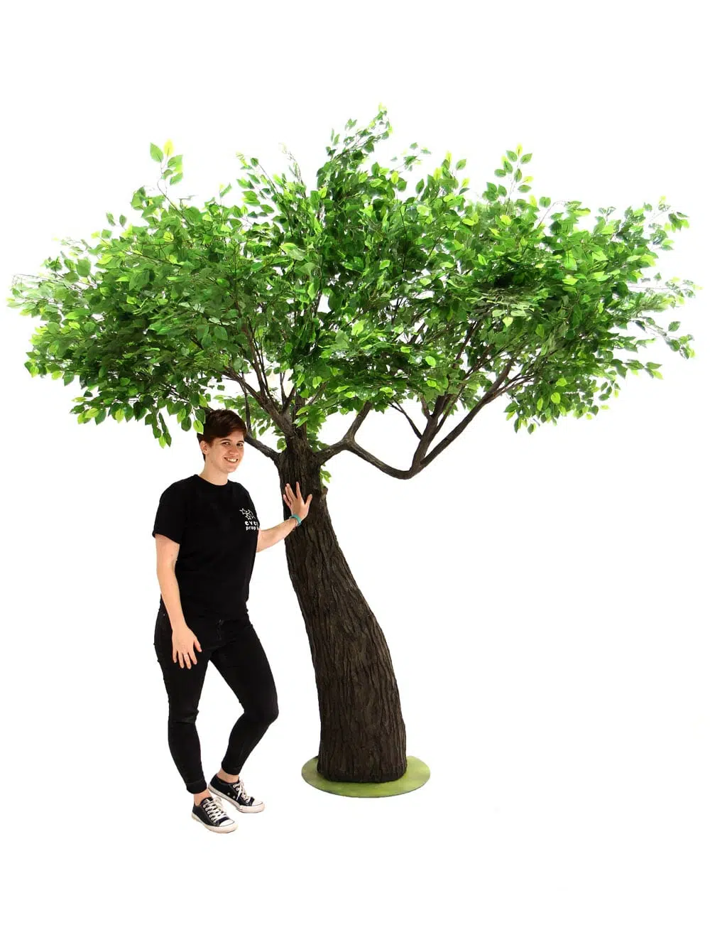 SN6400_Ficus Tree - Thick Trunk_117