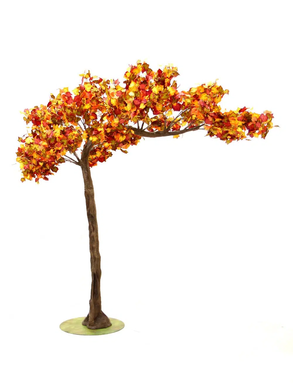 SN6403_Autumn Canopy Tree_050