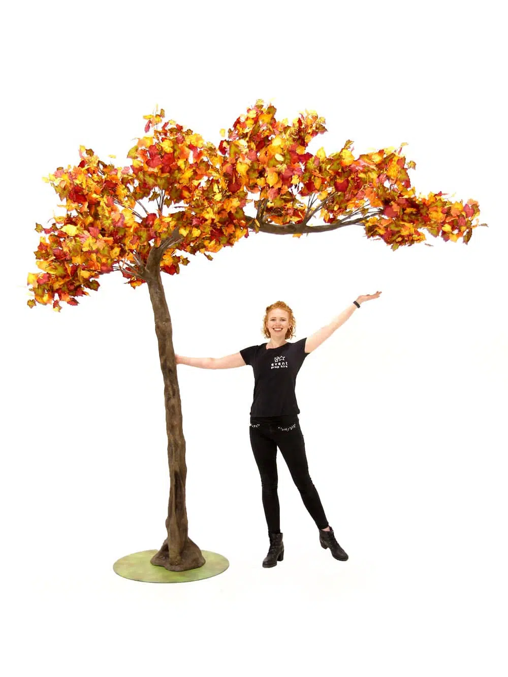 SN6403_Autumn Canopy Tree_052
