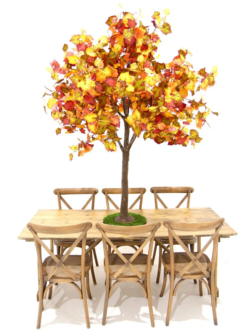 SN6406_Table Top Tree - Autumn_ (2)