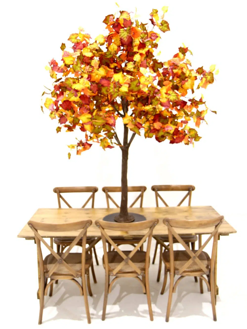 SN6406_Table Top Tree - Autumn_ (3)
