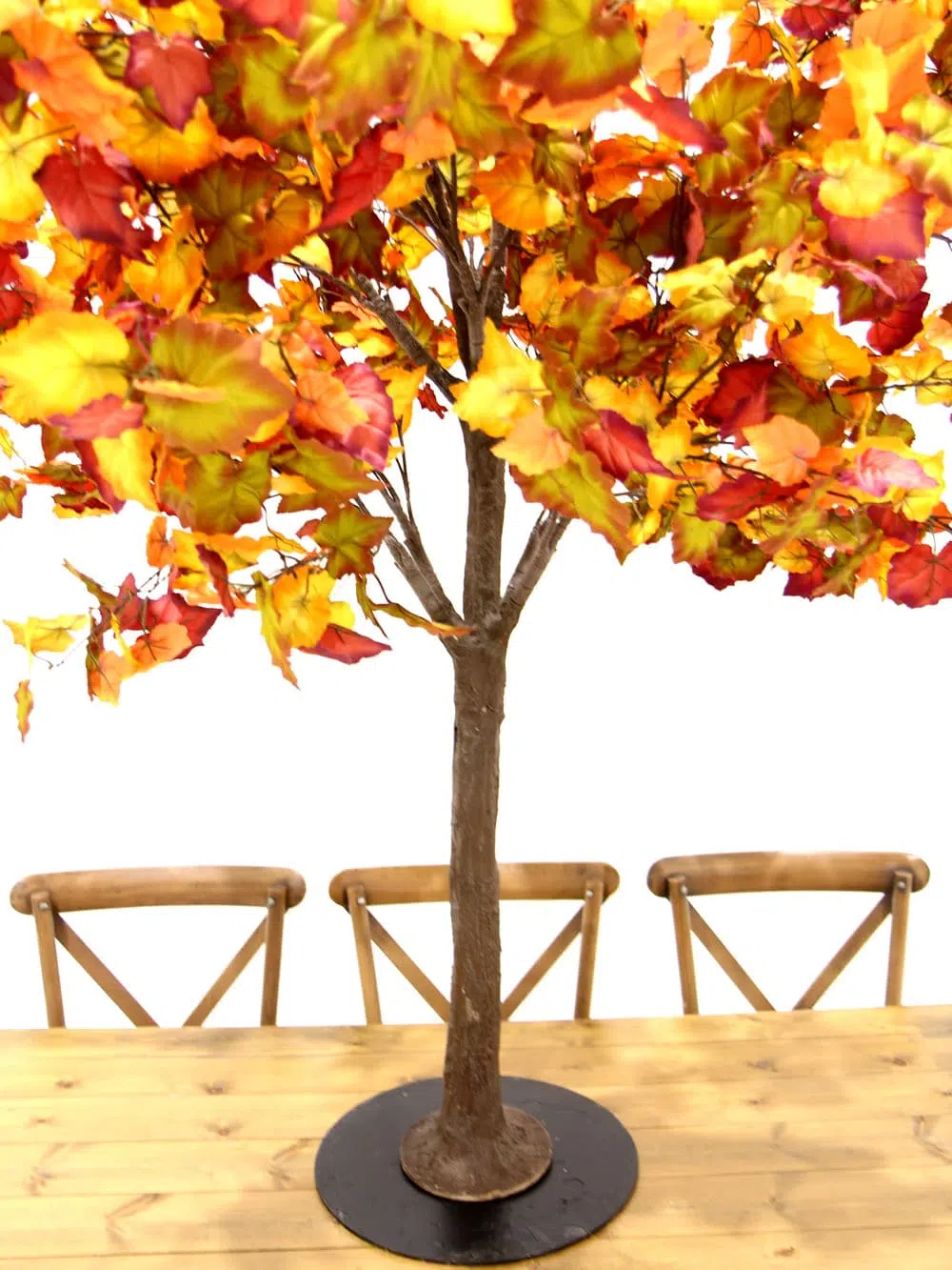 SN6406_Table Top Tree - Autumn_ (4)