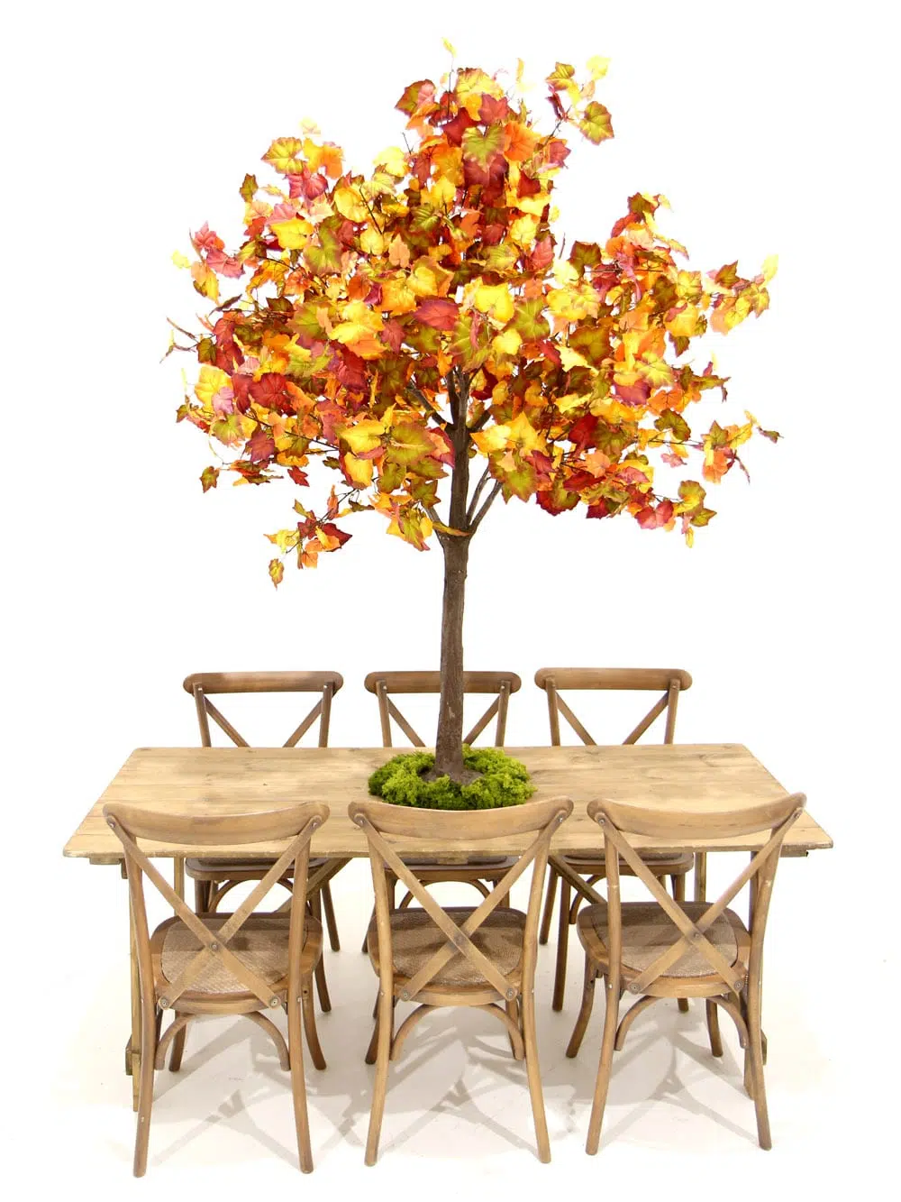 SN6406_Table Top Tree - Autumn_