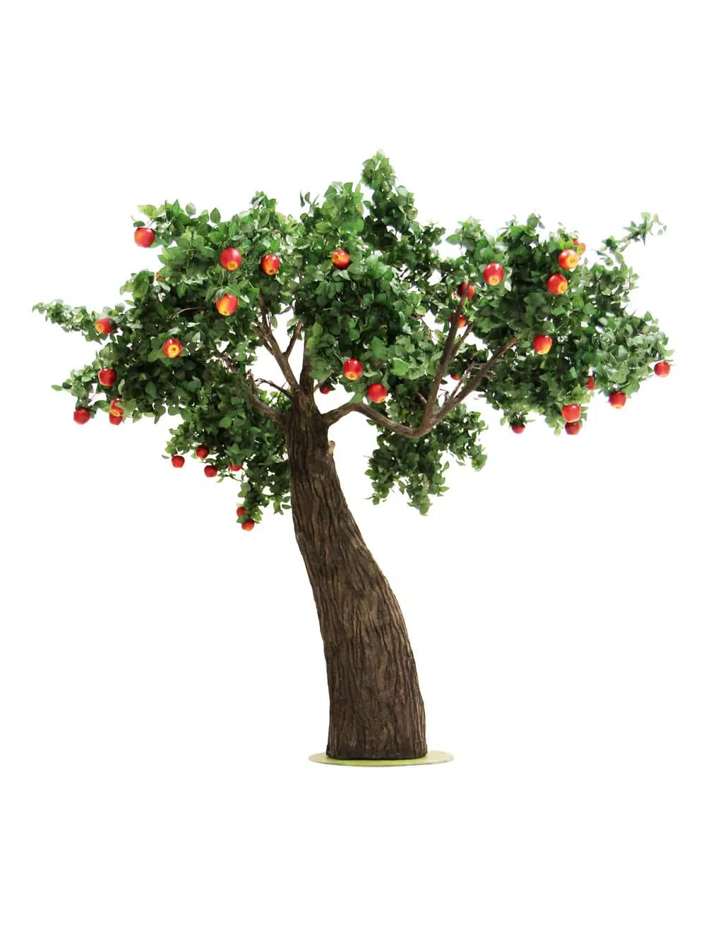SN6412_Apple Tree - Thick Trunk_016