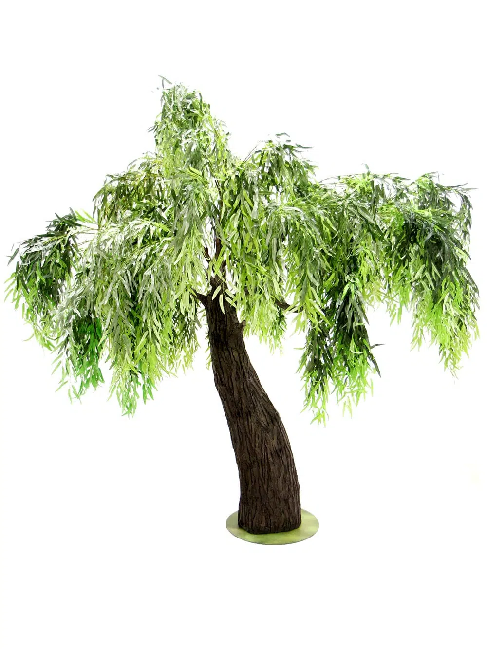 SN6413_Weeping Willow Tree - Thick Trunk_083