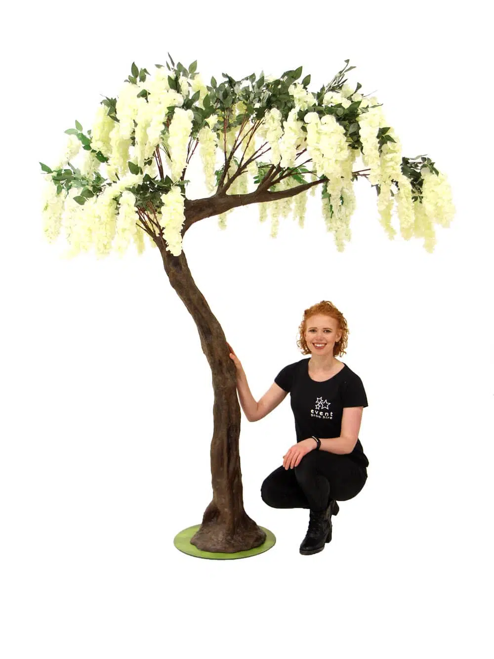 SN6418_Wisteria Flower Cluster - Short Canopy Tree_065