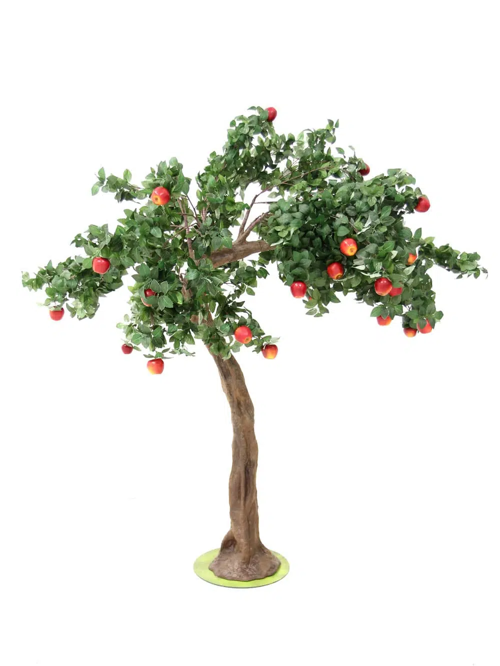 SN6421_Apple Tree - Short Canopy_019