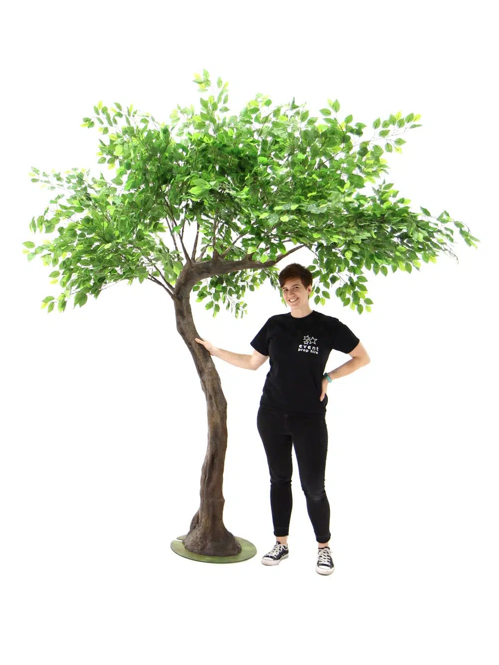 SN6422_Ficus Short Canopy Tree_123