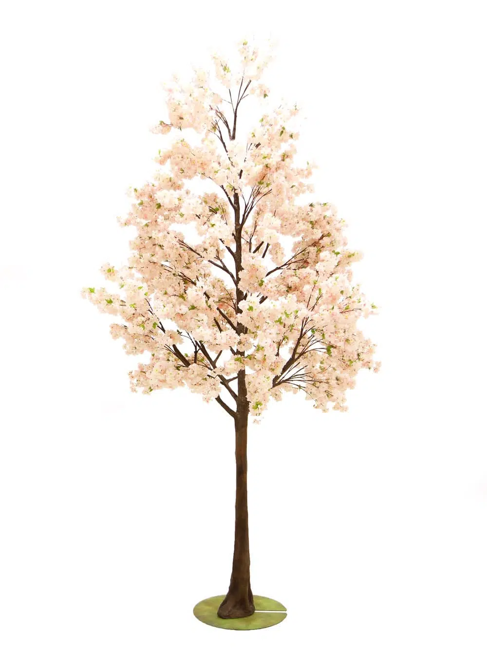 SN6490_Pink Cherry Blossom - Giant Tree_047