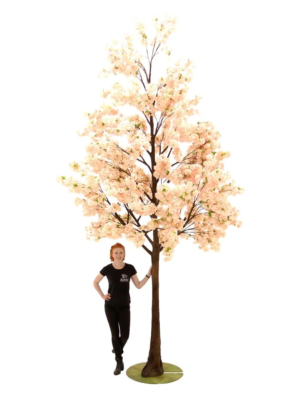 SN6490_Pink Cherry Blossom - Giant Tree_048