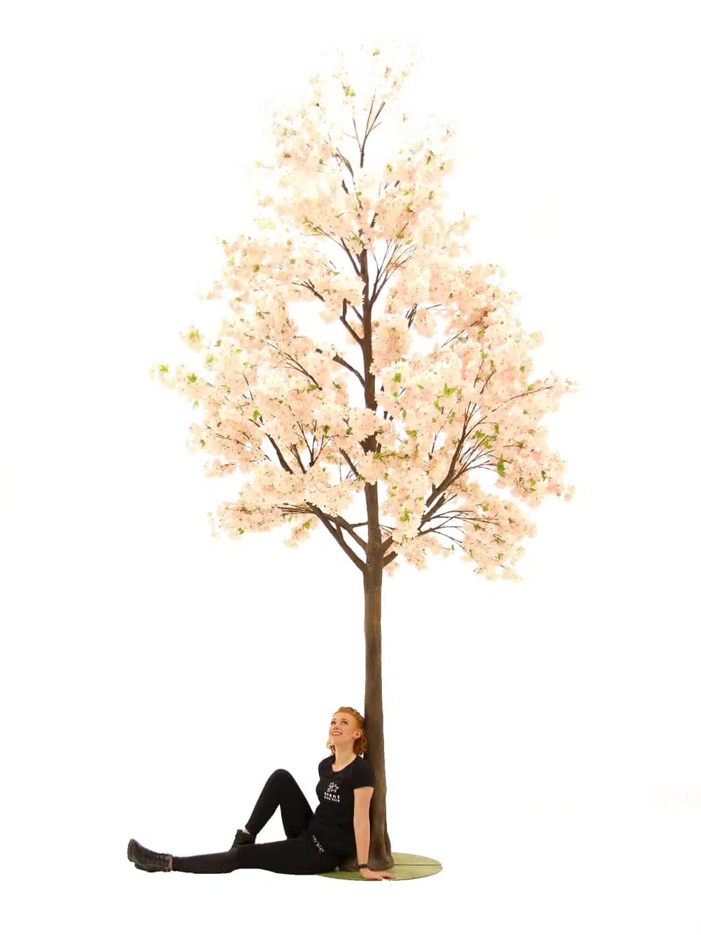 SN6490_Pink Cherry Blossom - Giant Tree_049