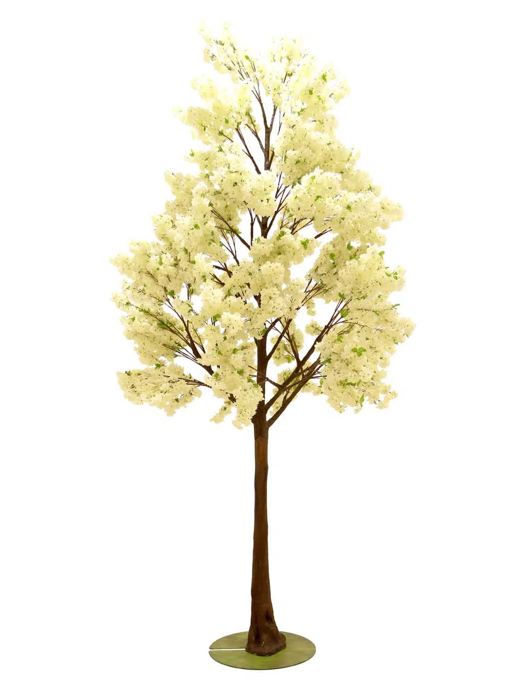 SN6491_Cream Cherry Blossom - Giant Tree_043