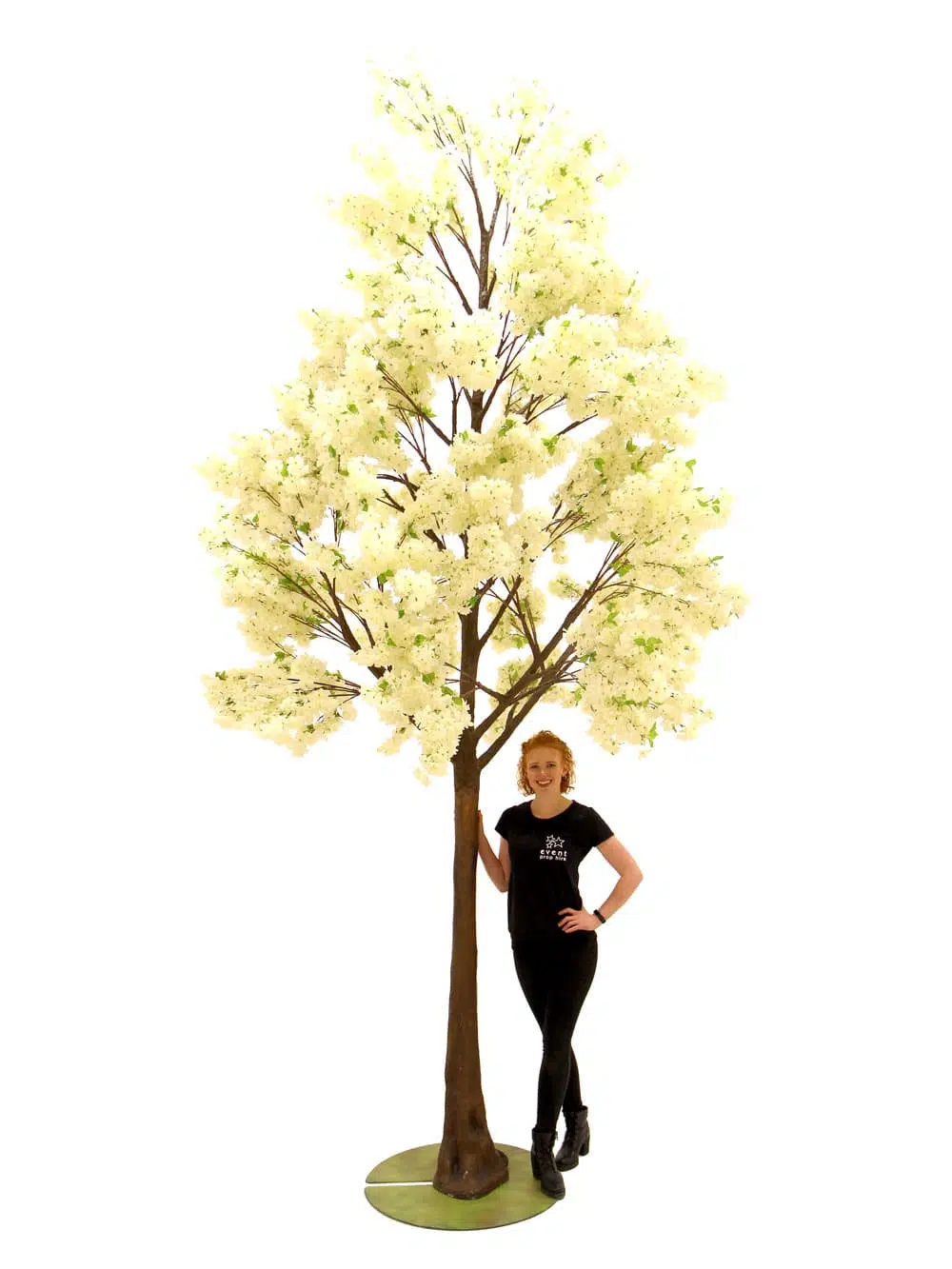 SN6491_Cream Cherry Blossom - Giant Tree_046