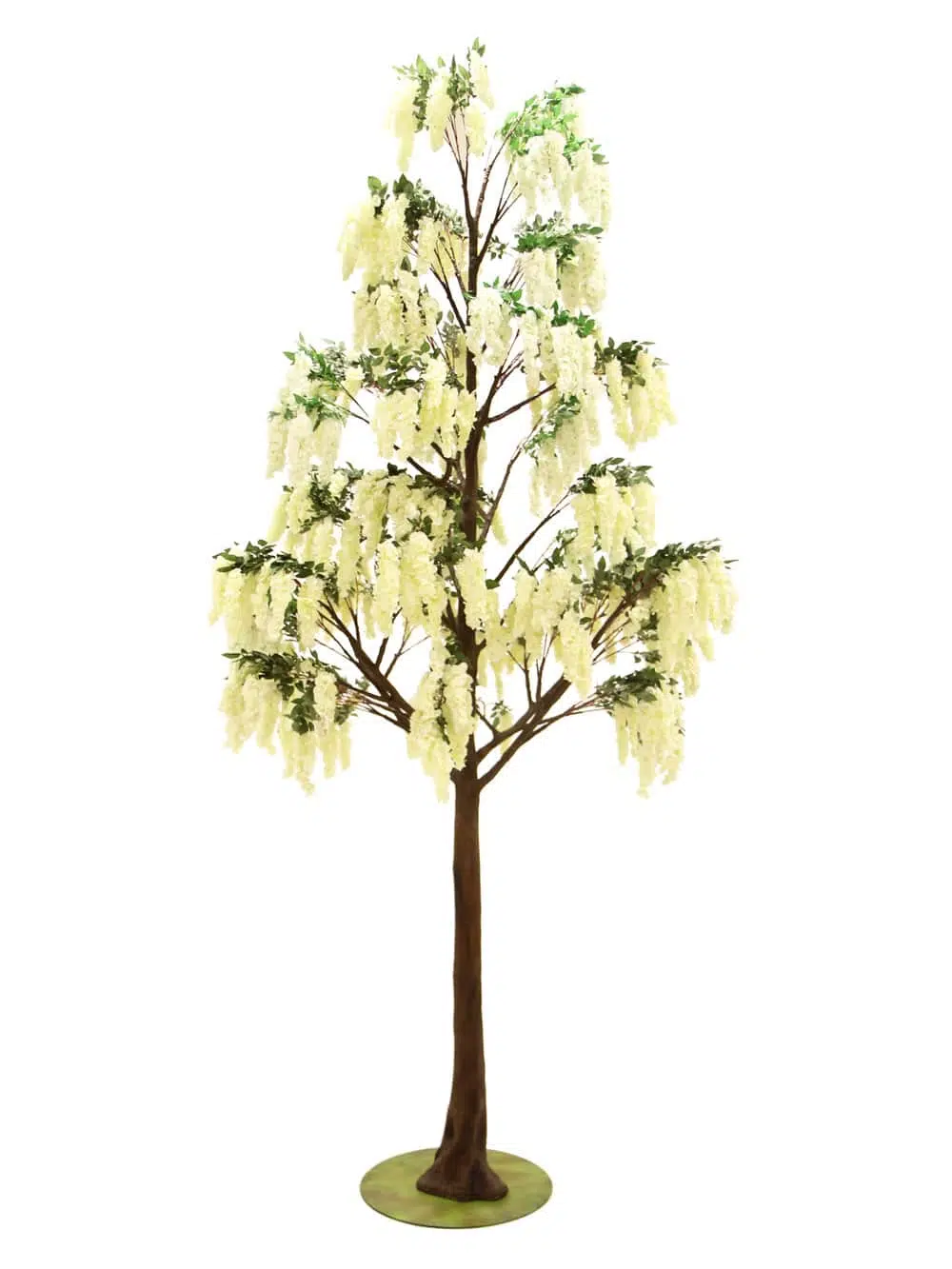 SN6492_Wisteria Flower Cluster - Giant Tree_023