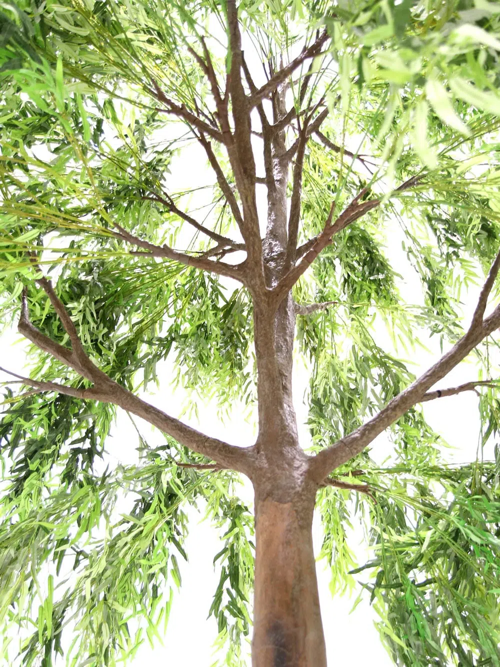 SN6494_Weeping Willow - Giant Tree_040