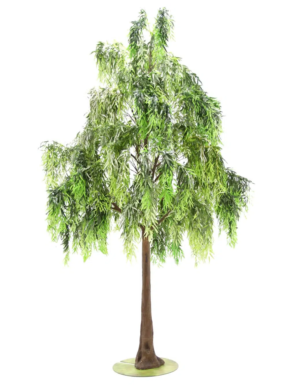 SN6494_Weeping Willow - Giant Tree_041