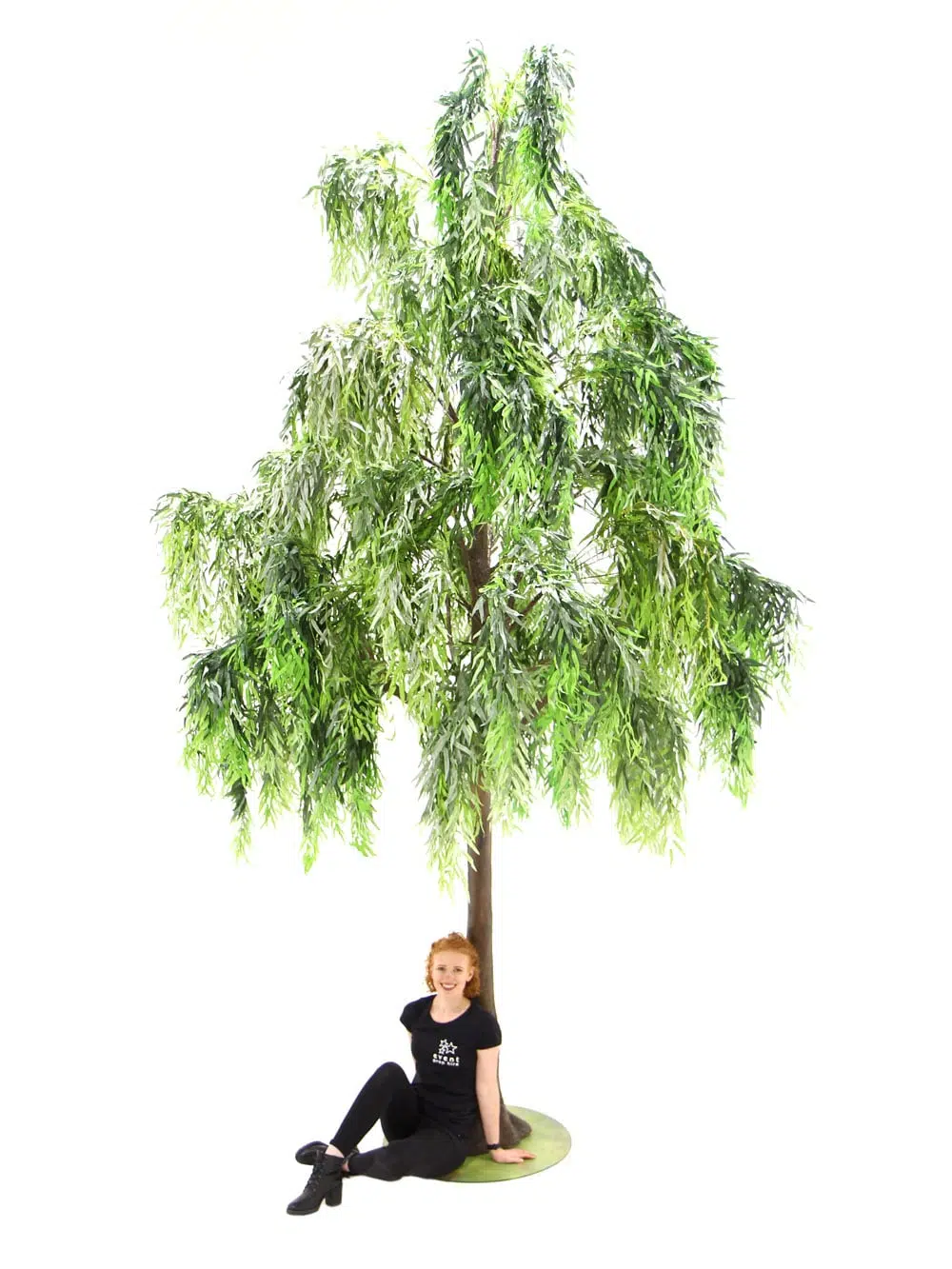 SN6494_Weeping Willow - Giant Tree_042