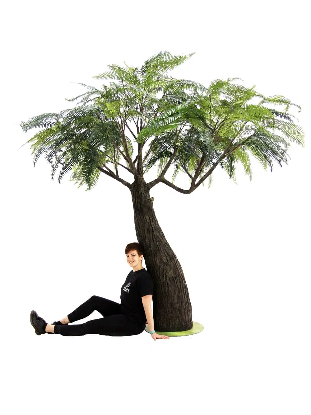 SN6555_Fern Tree - Thick Trunk_093