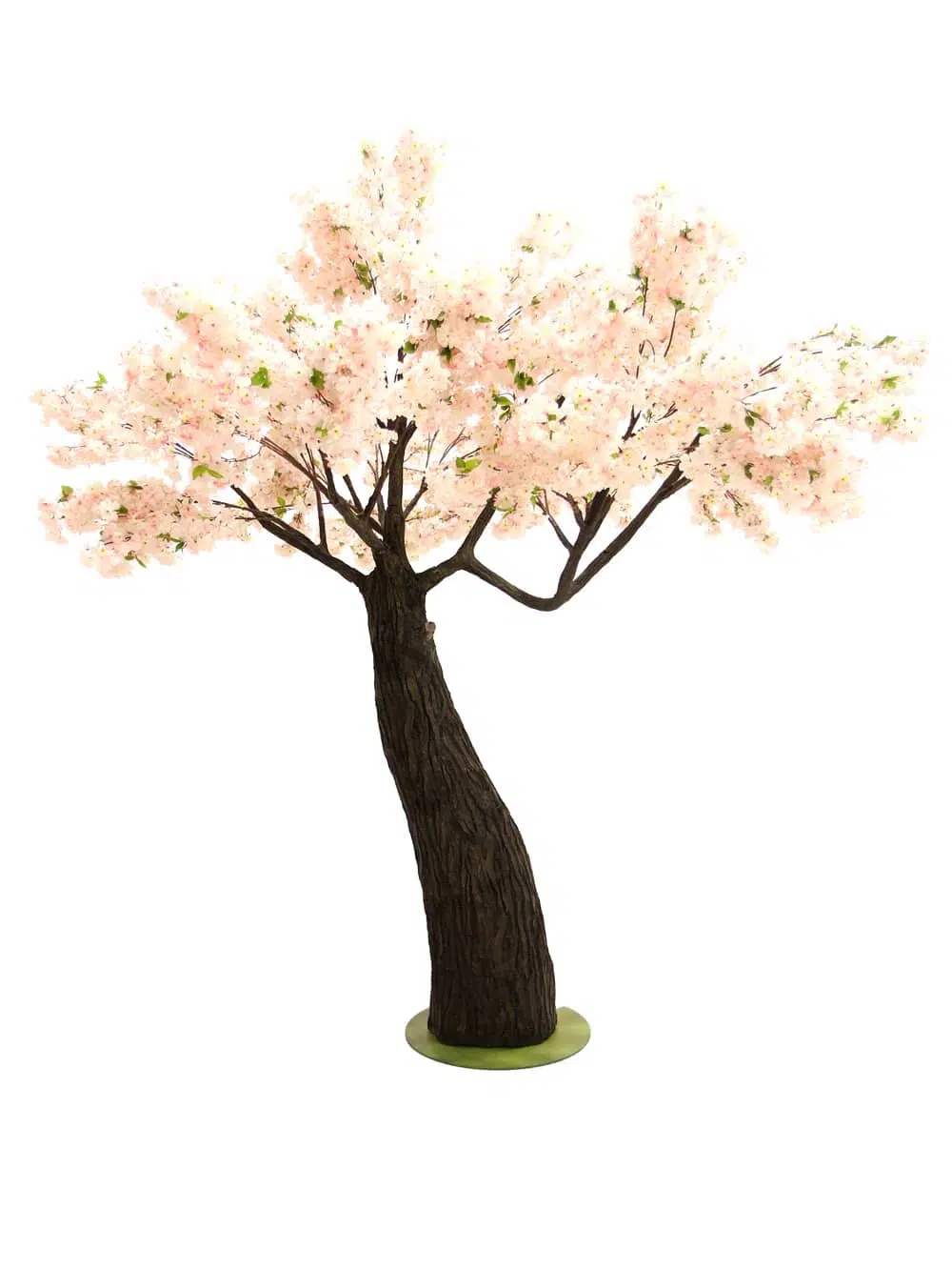 SN6560_Pink Cherry Blossom - Thick Trunk_069
