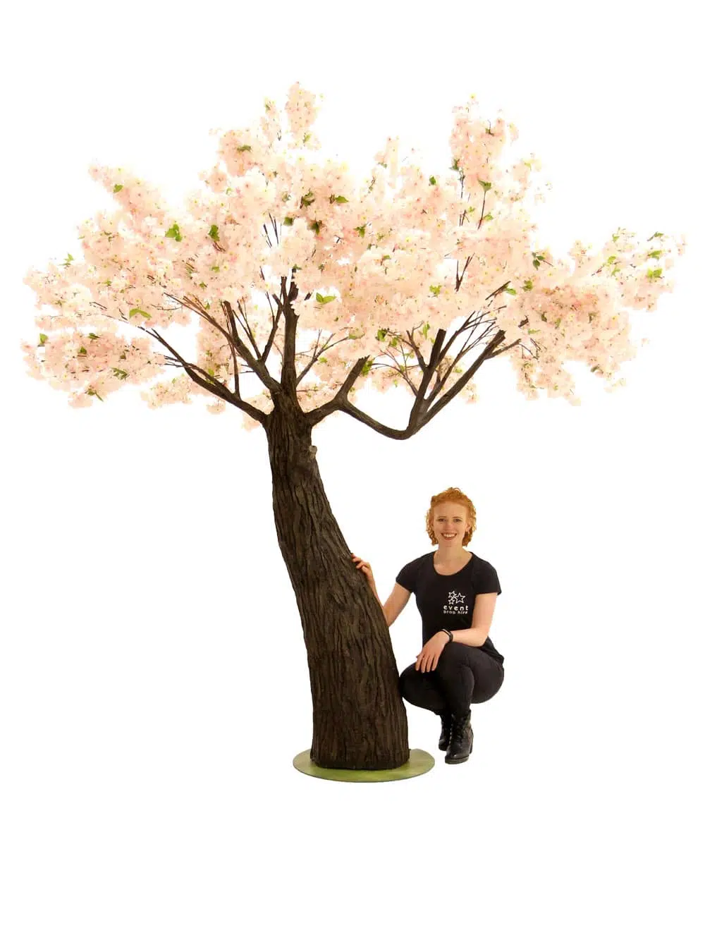 SN6560_Pink Cherry Blossom - Thick Trunk_071