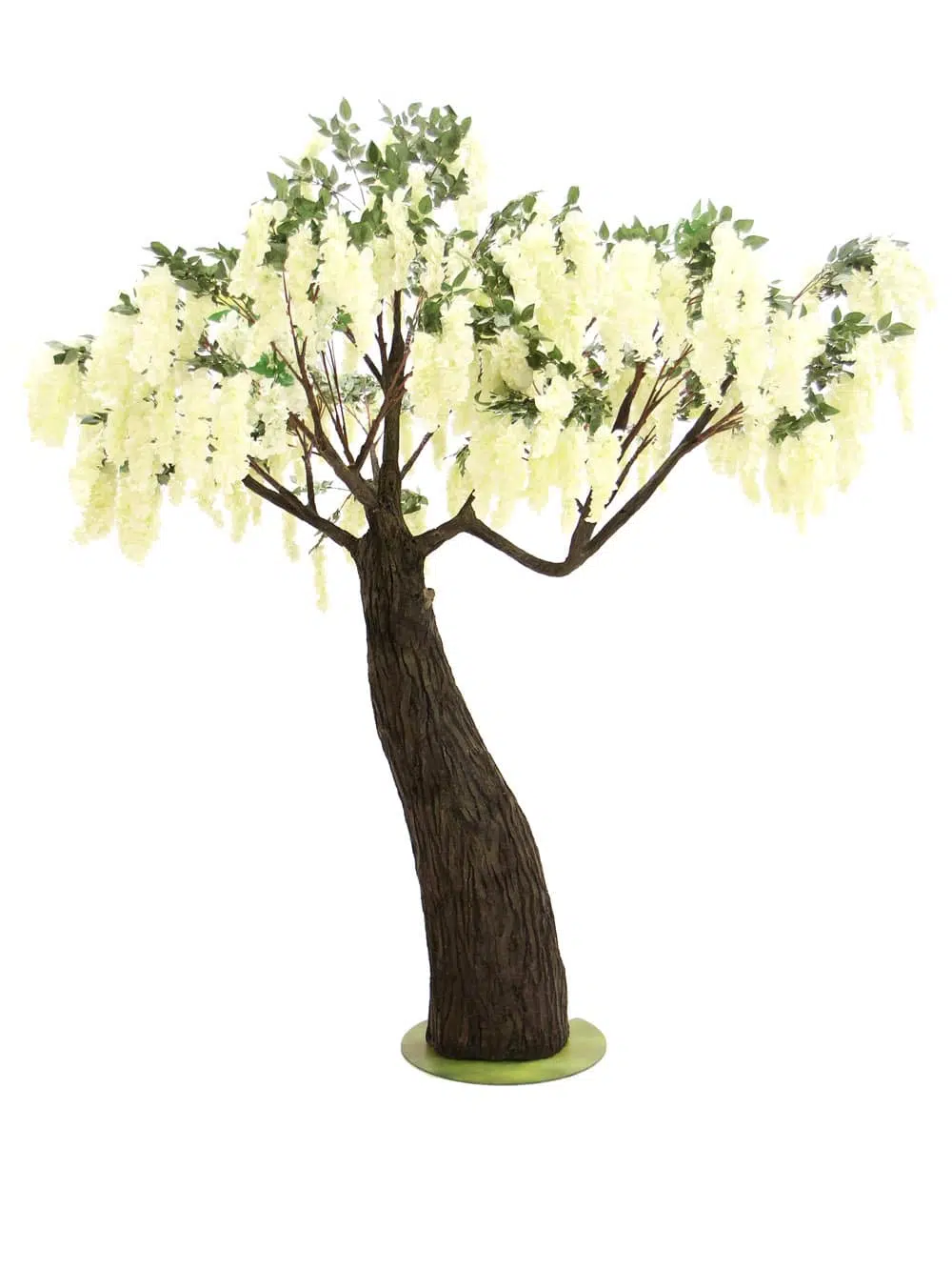 SN6562_Wisteria Flower Cluster - Thick Trunk_062