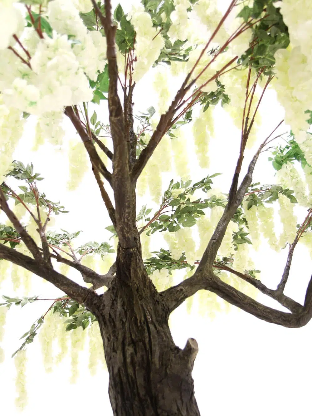 SN6562_Wisteria Flower Cluster - Thick Trunk_063