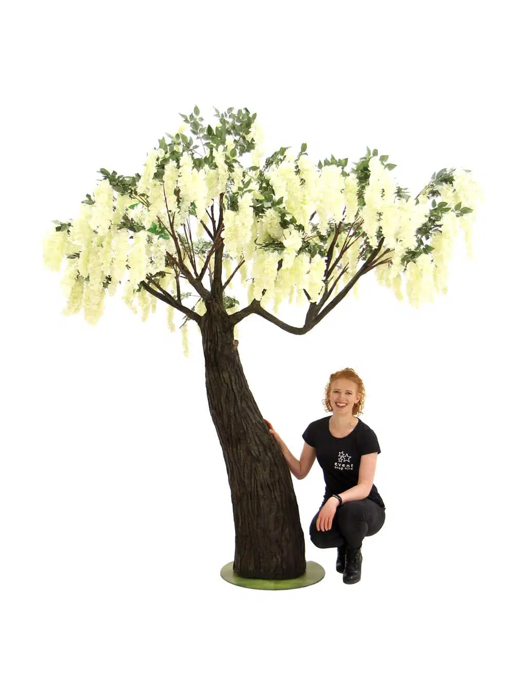 SN6562_Wisteria Flower Cluster - Thick Trunk_064