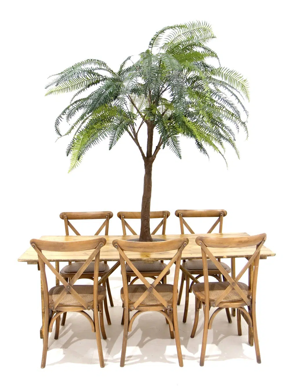 SN6563_Table Top Tree - Fern_ (2)