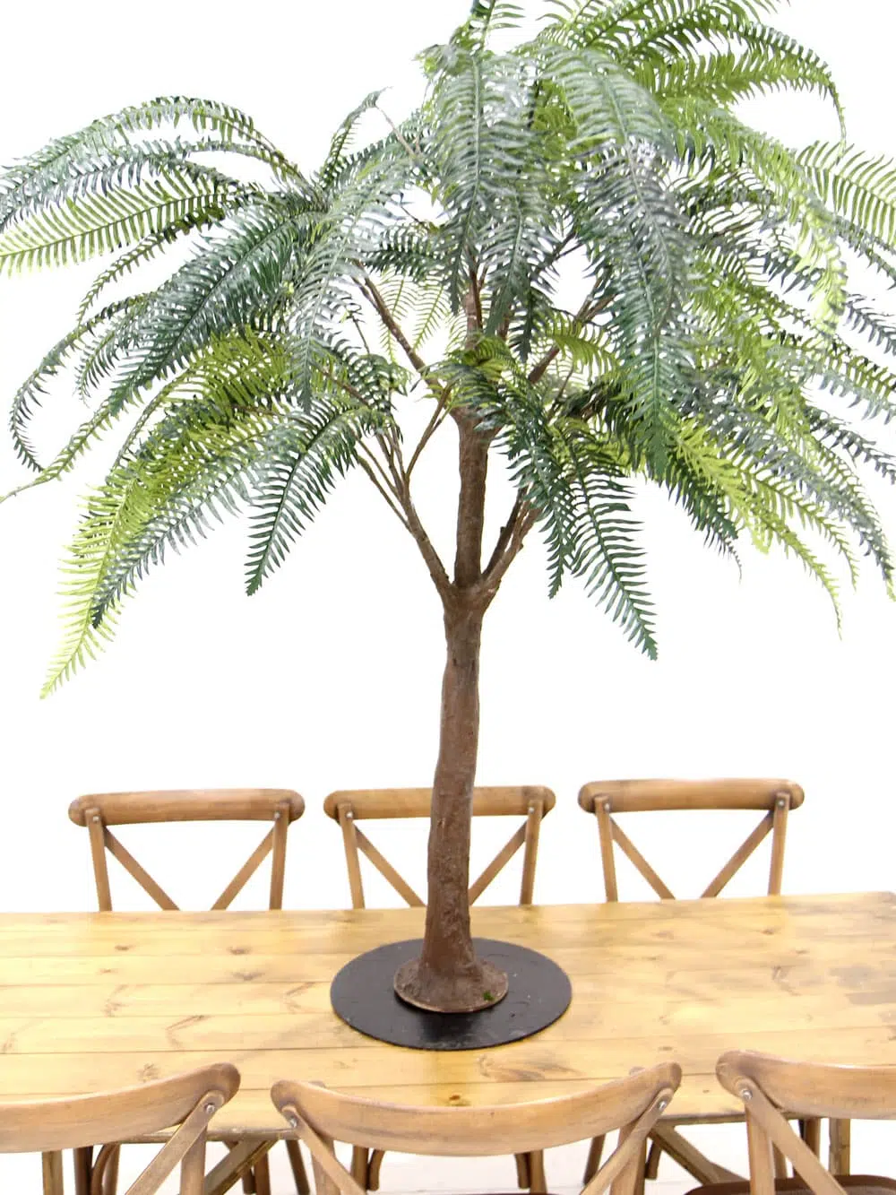 SN6563_Table Top Tree - Fern_ (3)