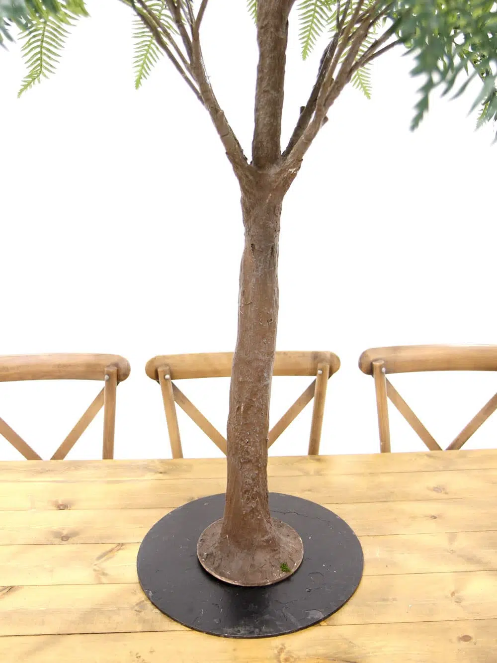 SN6563_Table Top Tree - Fern_ (4)