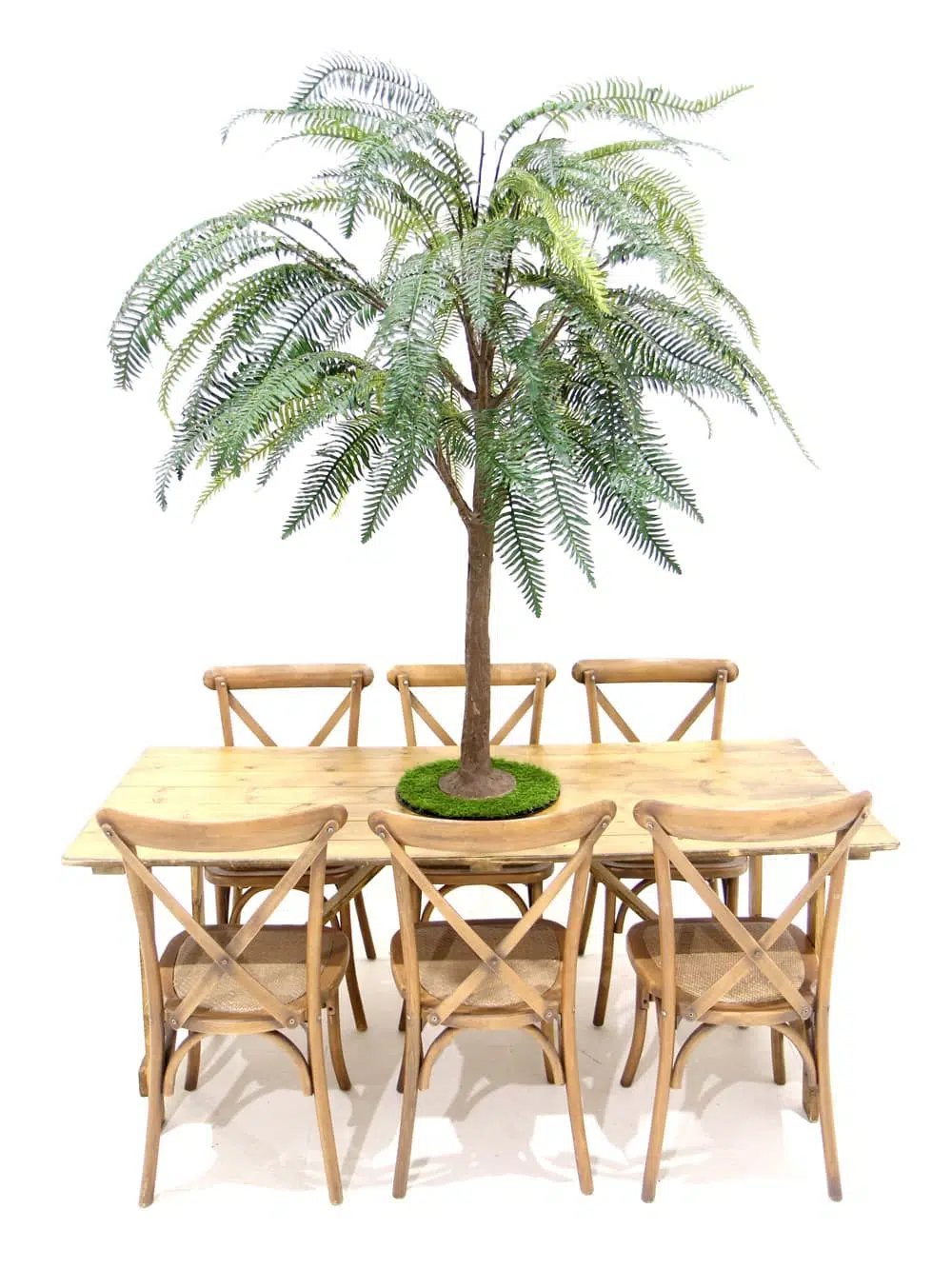 SN6563_Table Top Tree - Fern_ (5)