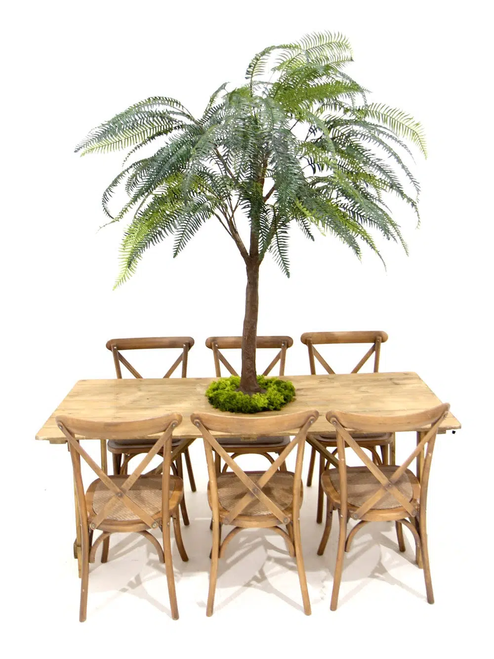 SN6563_Table Top Tree - Fern_