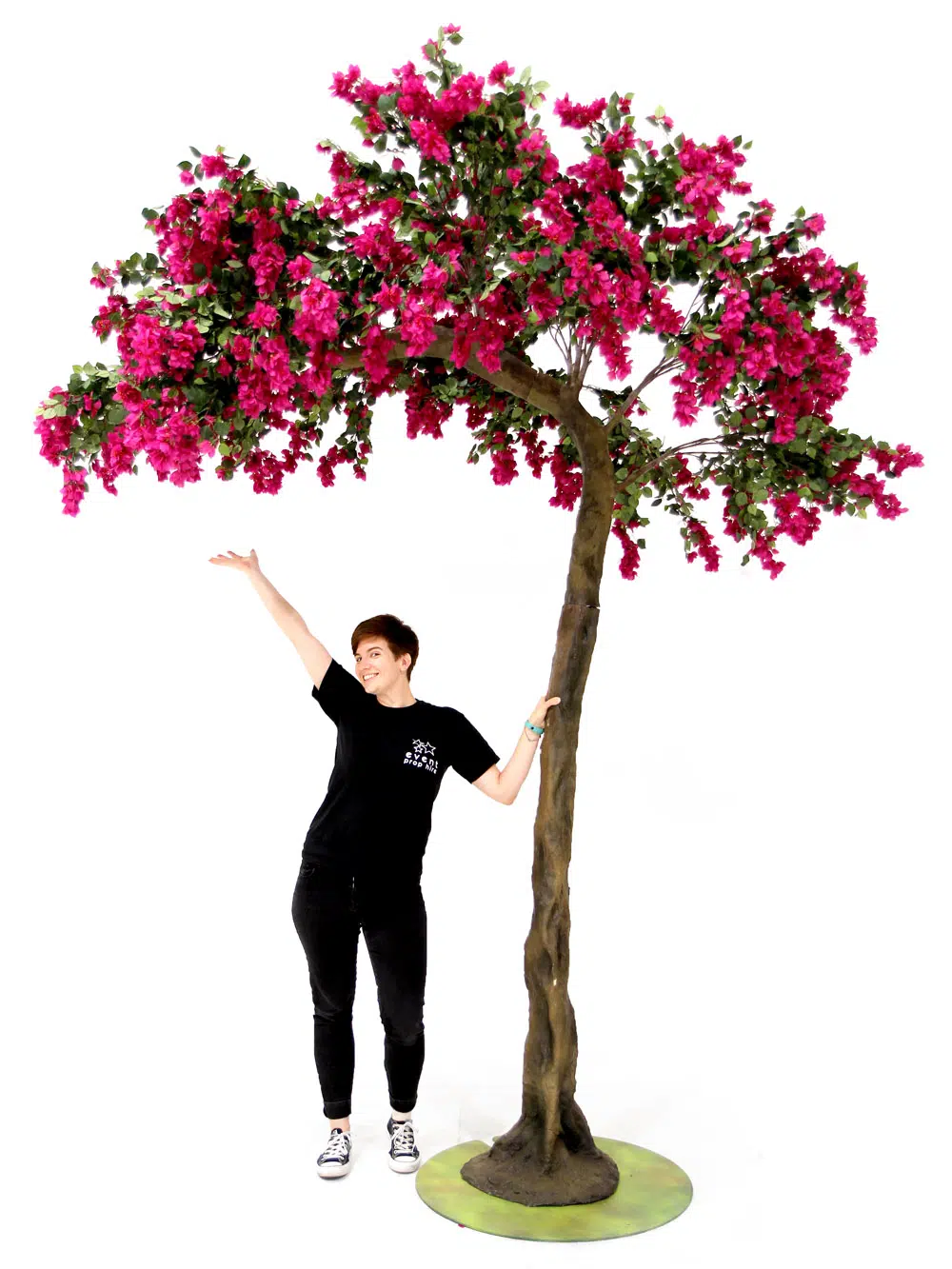 SN6057_Bougainvillea Half Arch Tree_059