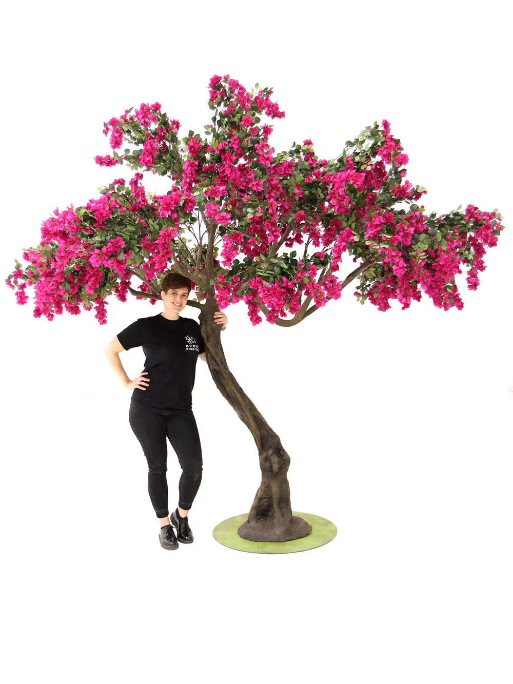 SN6058_Bougainvillea Twisted Trunk Tree_103