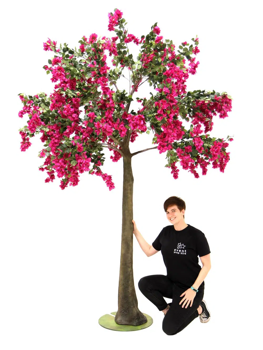 SN6061_Bougainvillea Tree (2.8m)_106