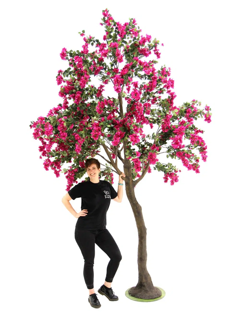 SN6062_Bougainvillea Tree (3.5m)_086