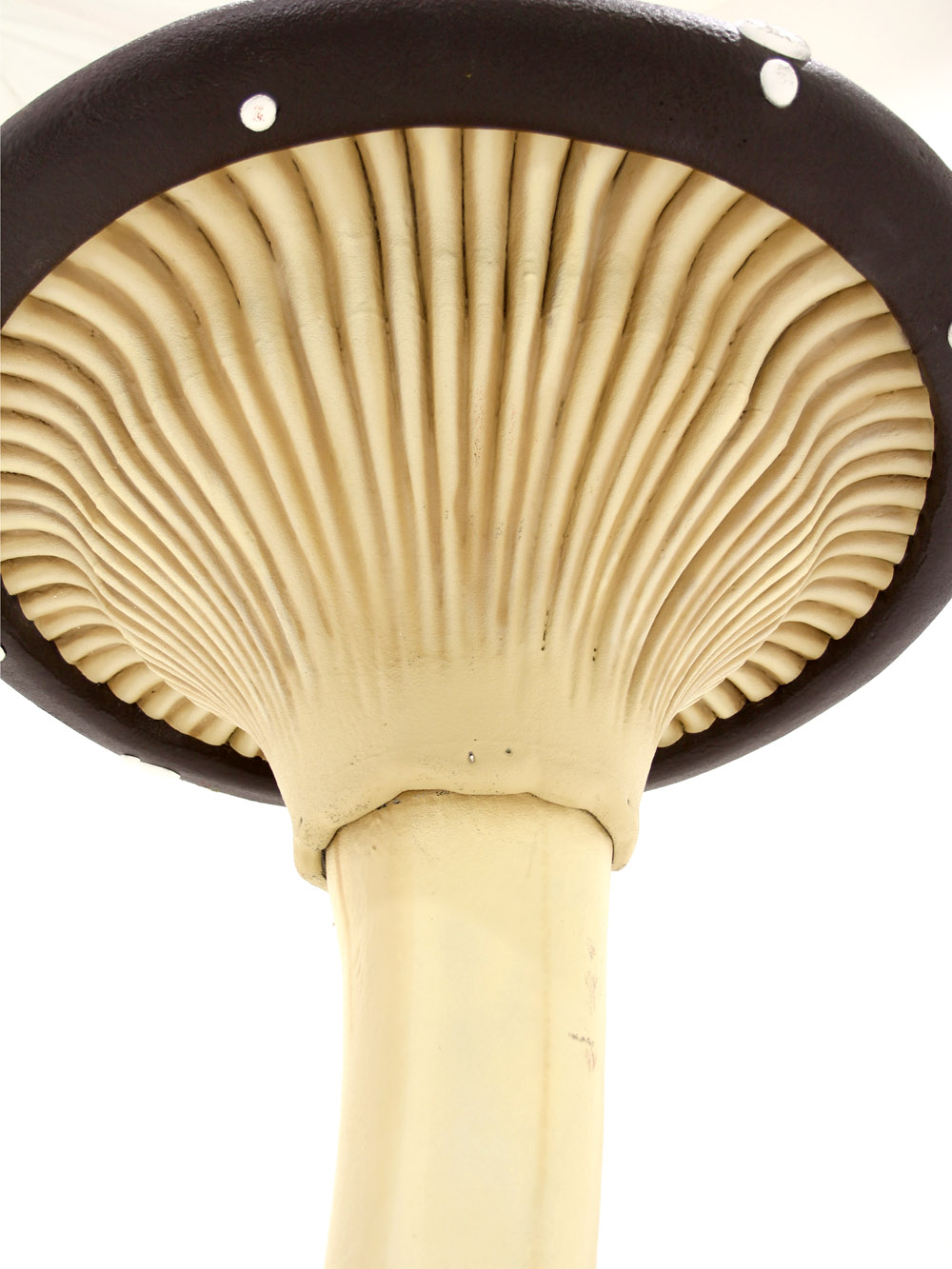 SN6070_Giant Flat Cap Mushroom - Red - Large_248