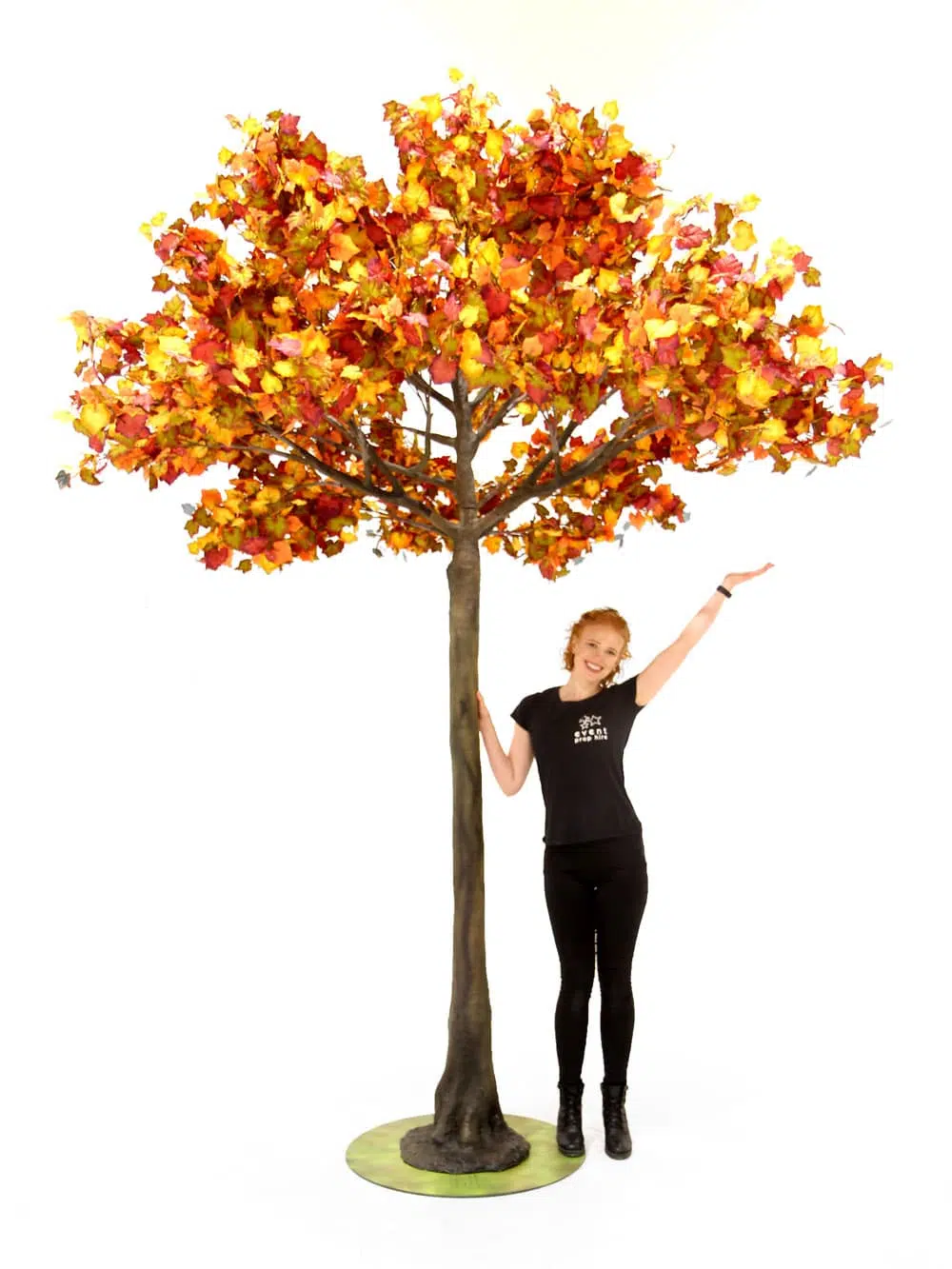 SN6407_Autumn Tree (3.6m)_144
