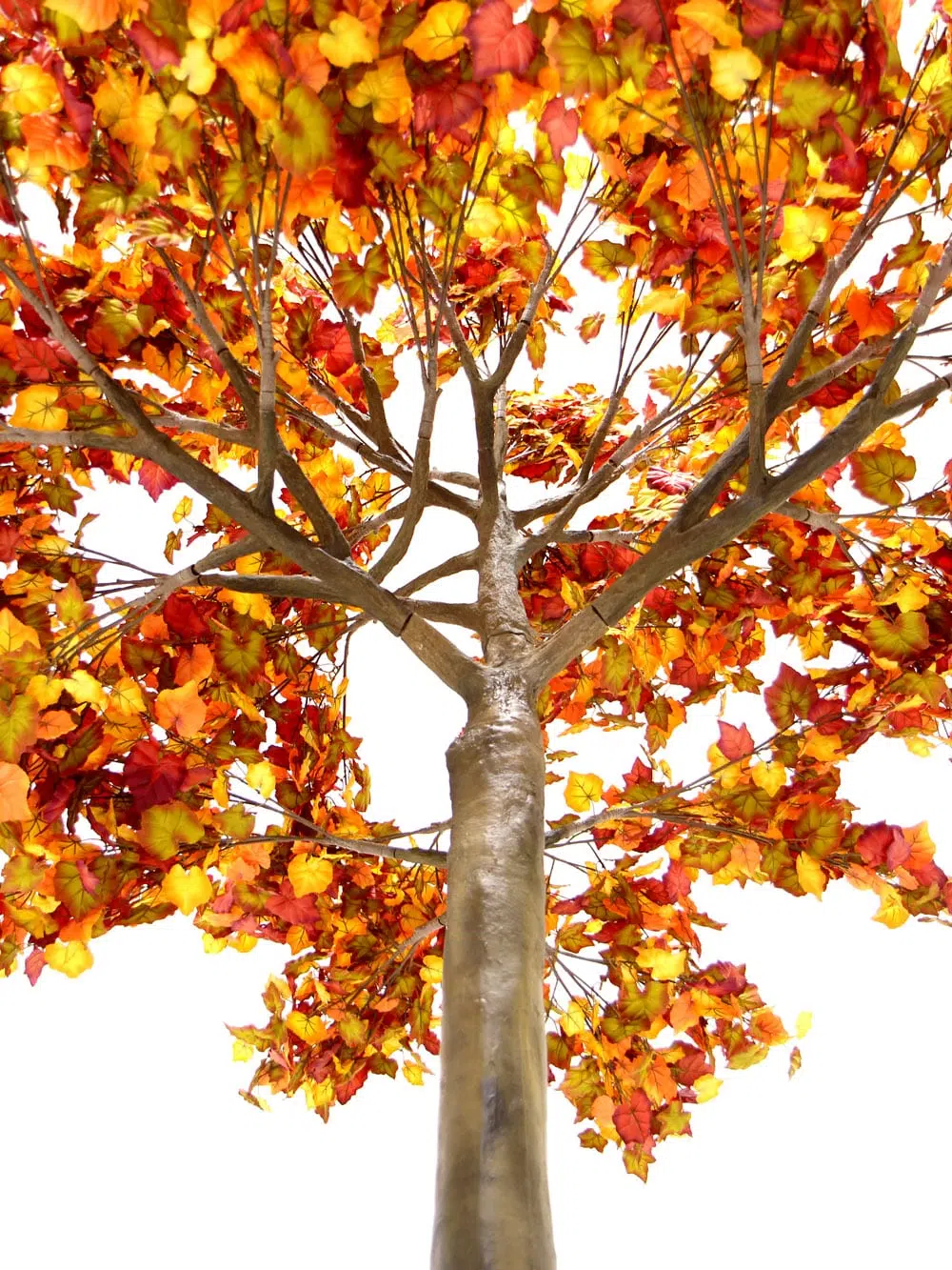SN6407_Autumn Tree (3.6m)_145