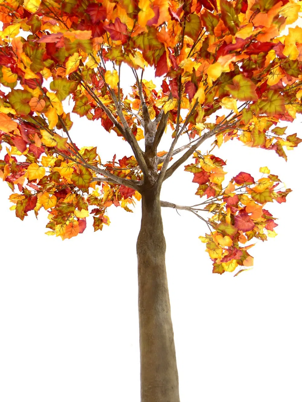 SN6408_Autumn Tree (2.5m)_140