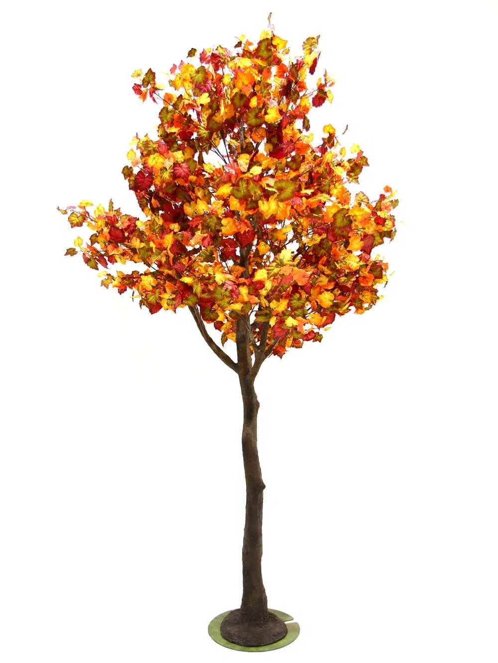 SN6409_Autumn Tree (3.3m)_136