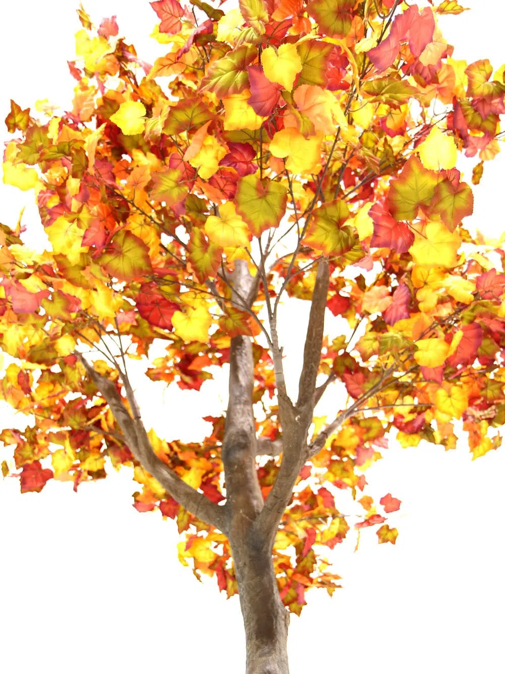 SN6409_Autumn Tree (3.3m)_137