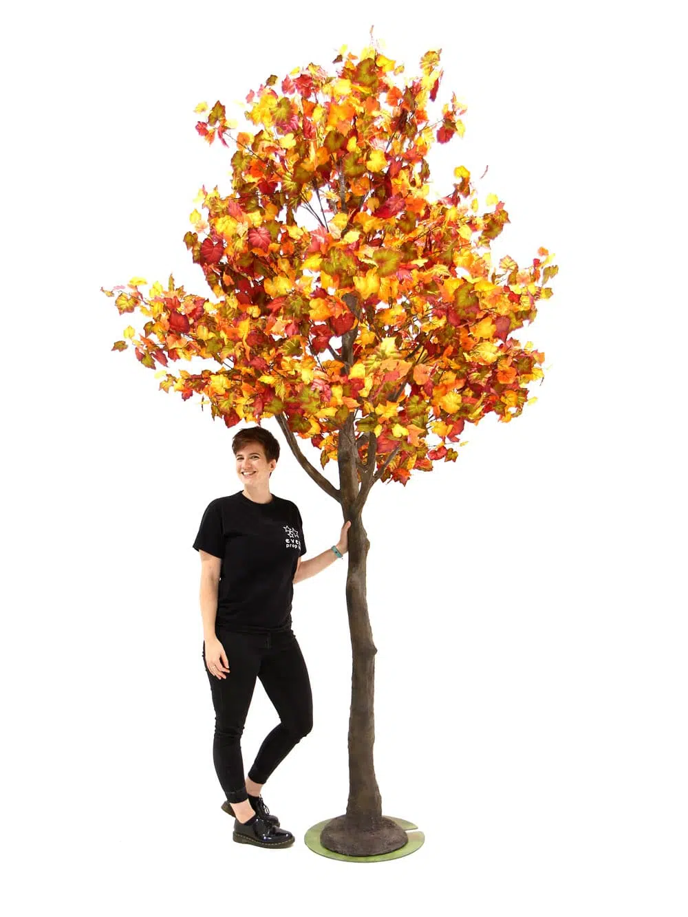 SN6409_Autumn Tree (3.3m)_138