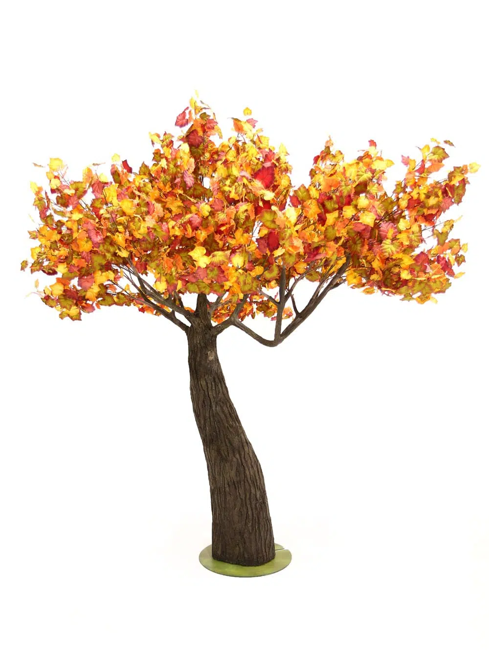 SN6410_Autumn Tree - Thick Trunk_129