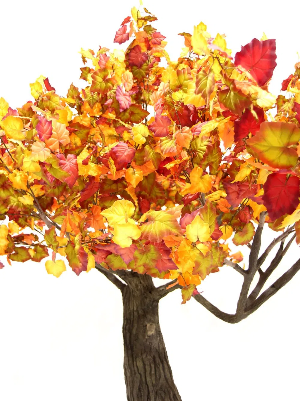 SN6410_Autumn Tree - Thick Trunk_130