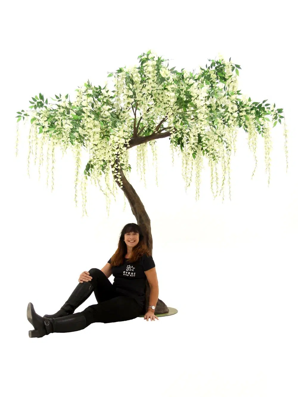SN6419_Wisteria Long Flower Short Canopy Tree_258